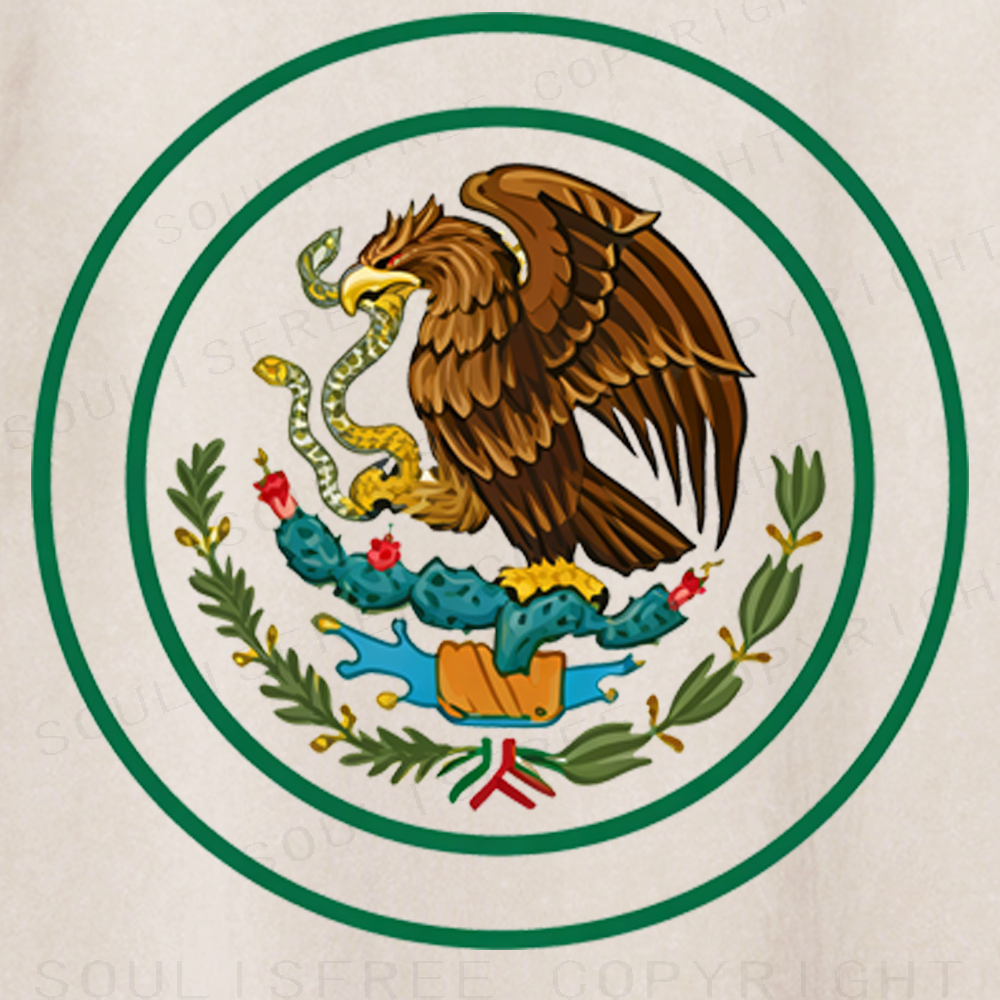 Soulisfree Heritage Soars: National Symbol Artistic Washed Tee