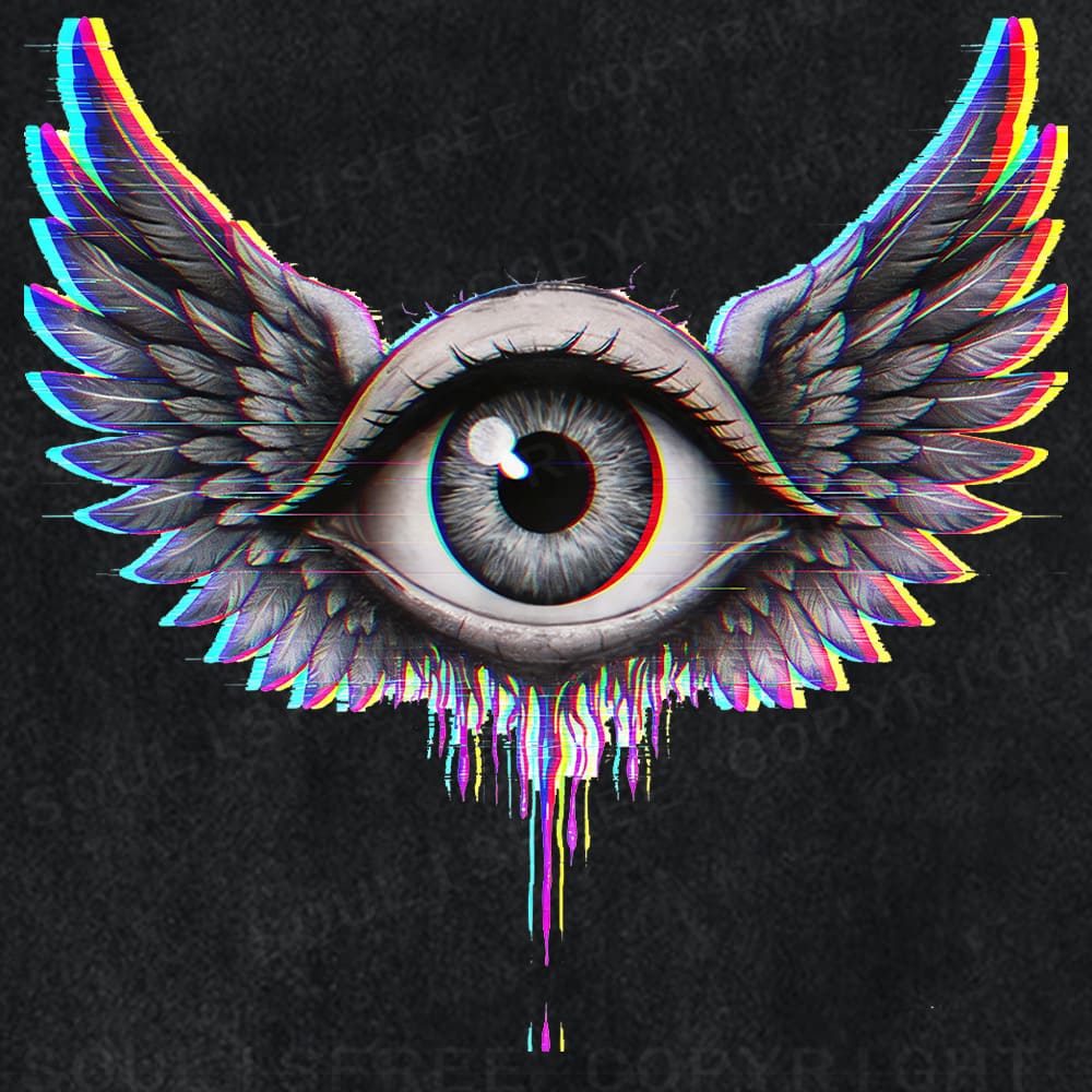 Soulisfree Winged Eye Soul Flight Illusion Washed Tee