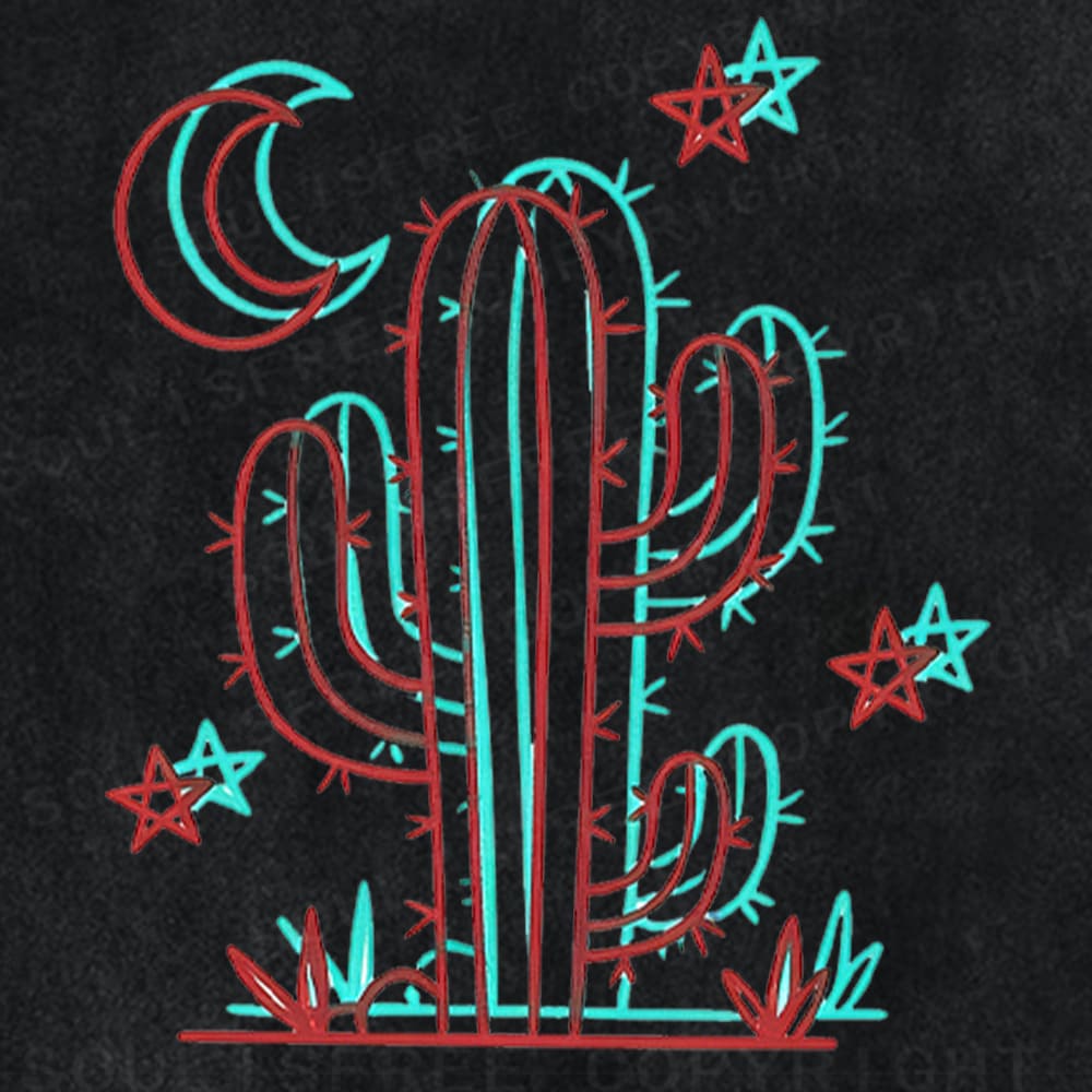 Soulisfree Cactus Moon Star Illusion Washed Tee