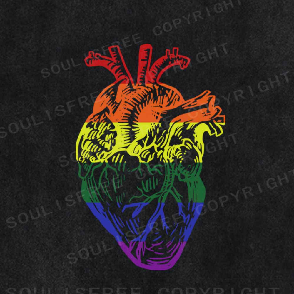 Soulisfree  Rainbow Anatomical Heart  Washed Tee