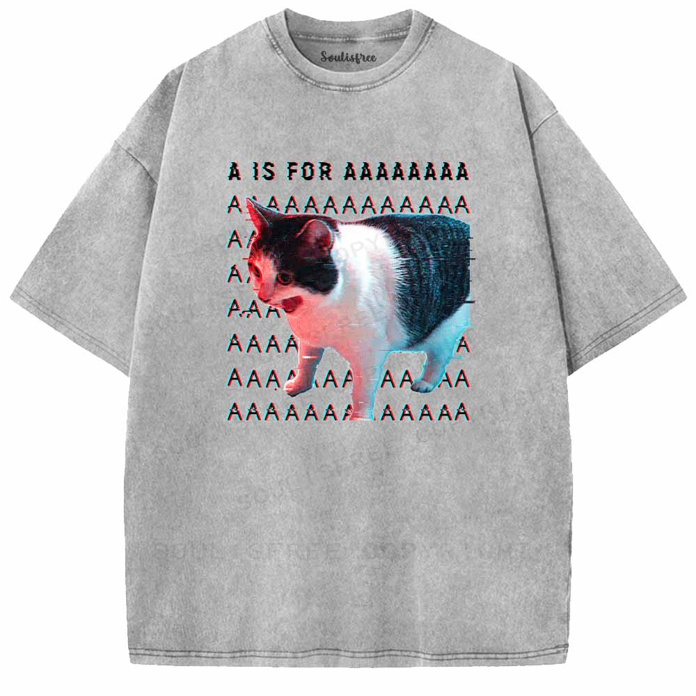 Soulisfree A IS FOR AAAAAAAA Washed Tee