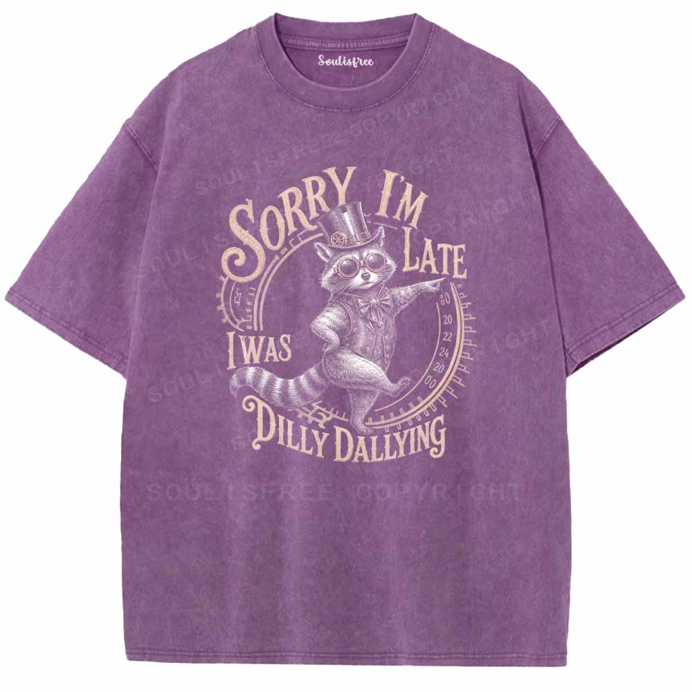 Soulisfree Sorry I'm Late I Was Dilly Dallying Washed Tee