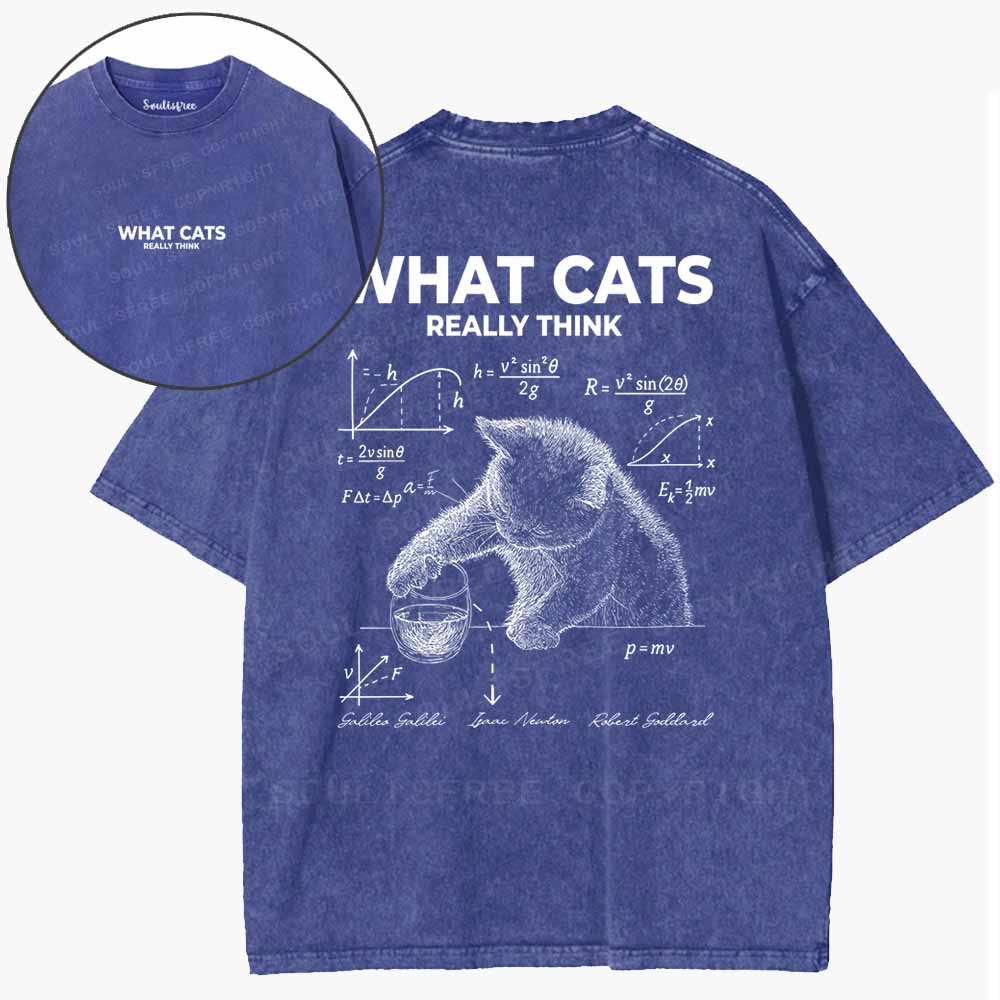 Soulisfree  The Secret Mind Of Cats Washed Tee
