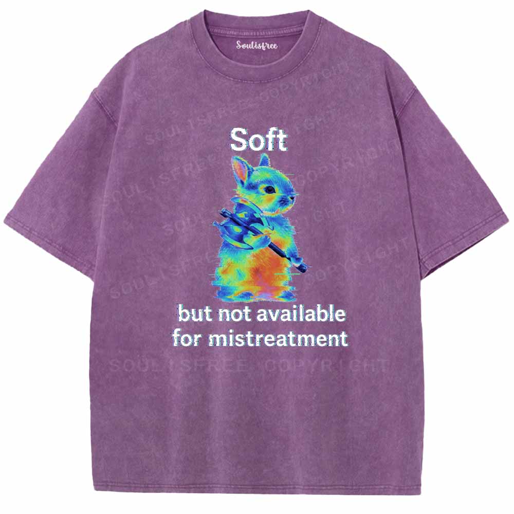 Soulisfree  Soft But Not Available For Mistreatment Washed Tee