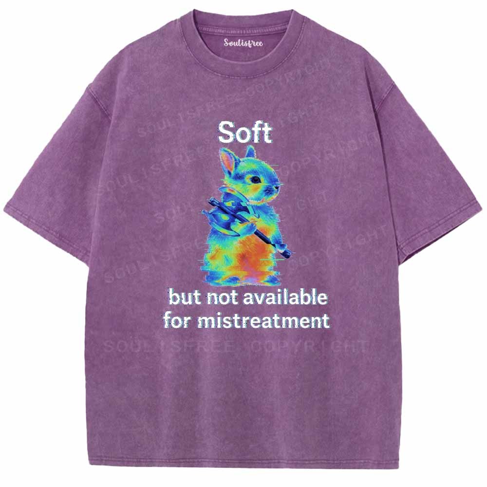 Soulisfree  Soft But Not Available For Mistreatment Washed Tee