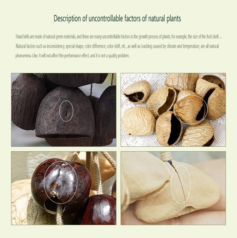 Patio Decor Yoga Studio Decor  Shell Chime 