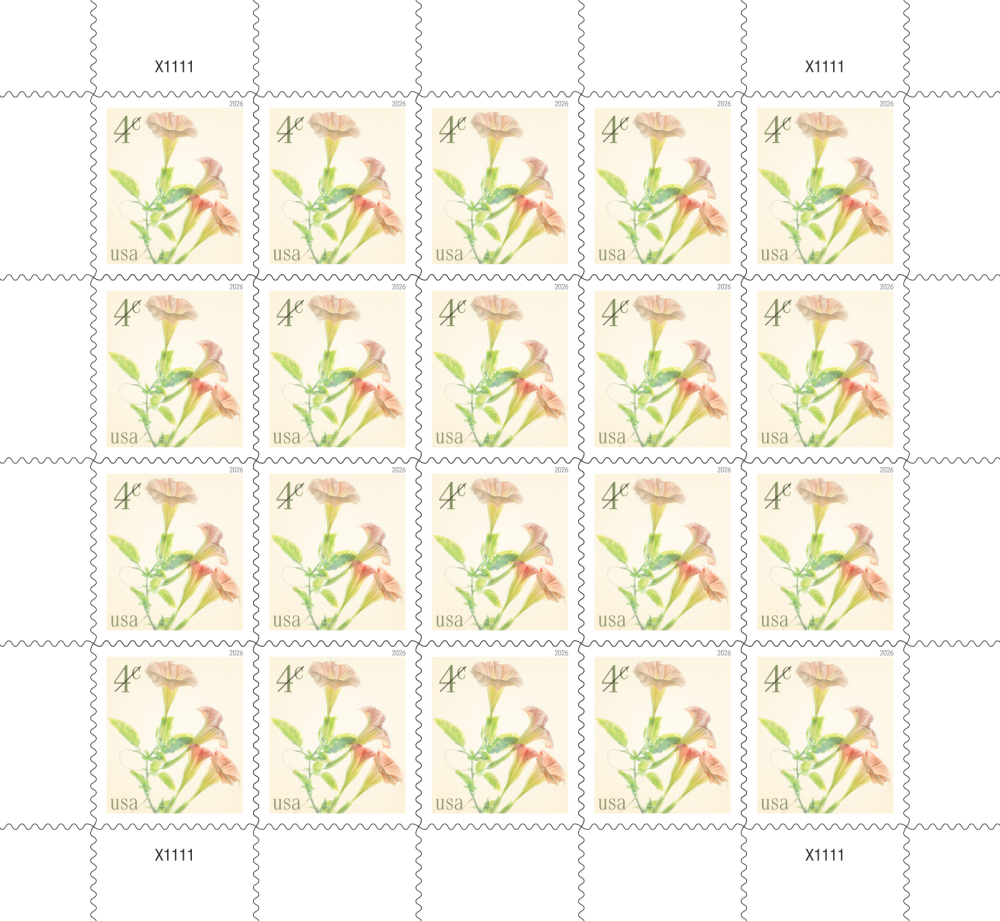2026 Angel's Trumpets Stamps Forever First Class Postage Stamps