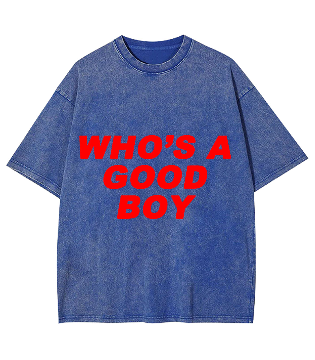 Who's A Good Boy Y2K Washed Tee