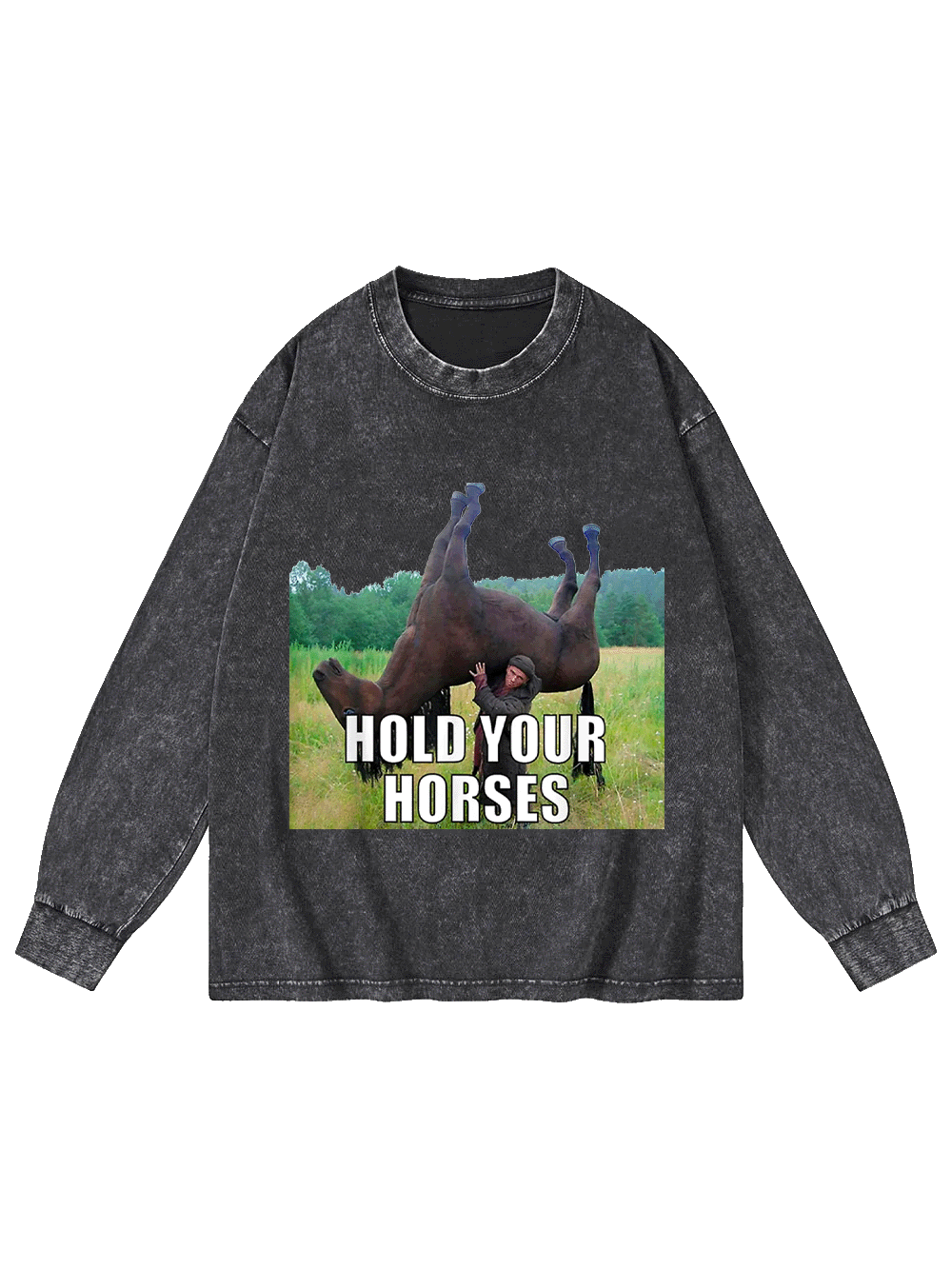 Hold Your Horses Washed Long-Sleeve Tshirt