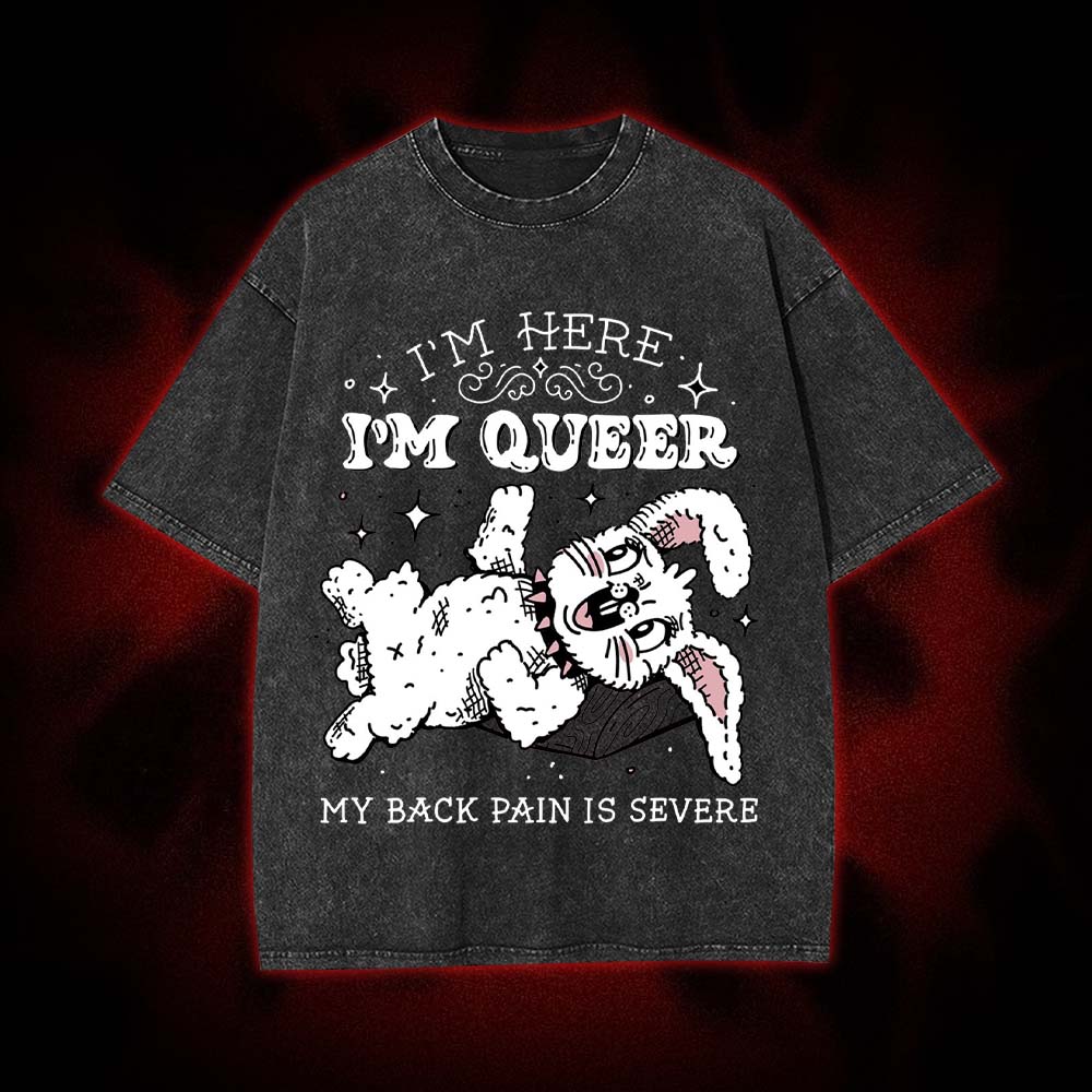 I'm Here, I'm Queer, My Back Pain Is Severe Washed Tshirt