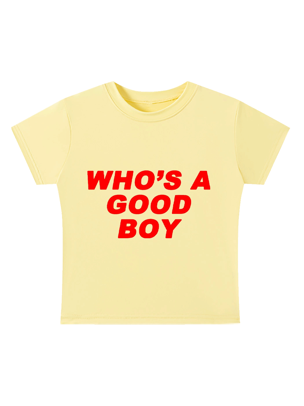 Who's A Good Boy Baby Tee