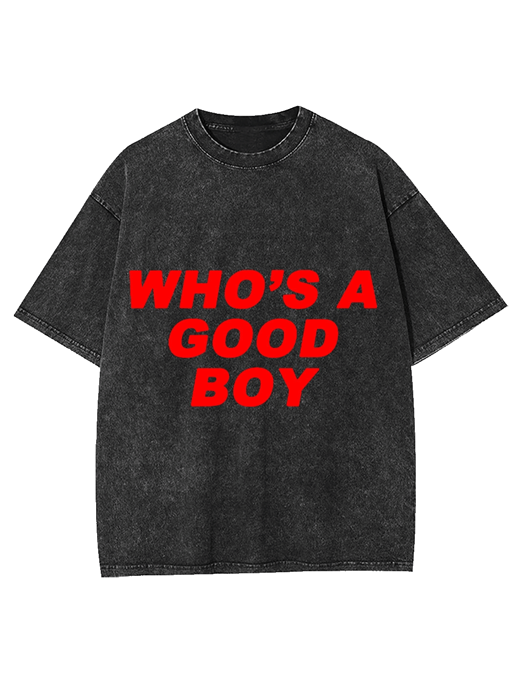 Who's A Good Boy Washed Tshirt