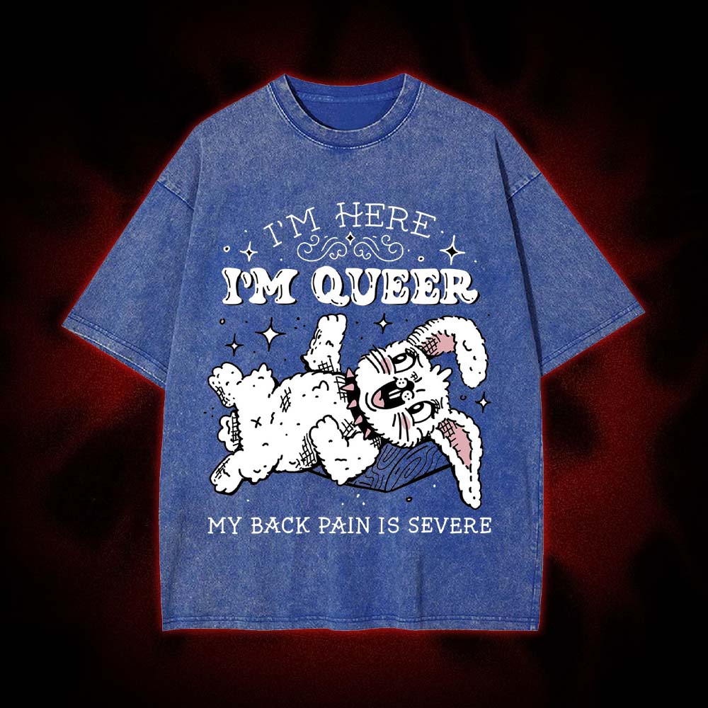 I'm Here, I'm Queer, My Back Pain Is Severe Washed Tshirt