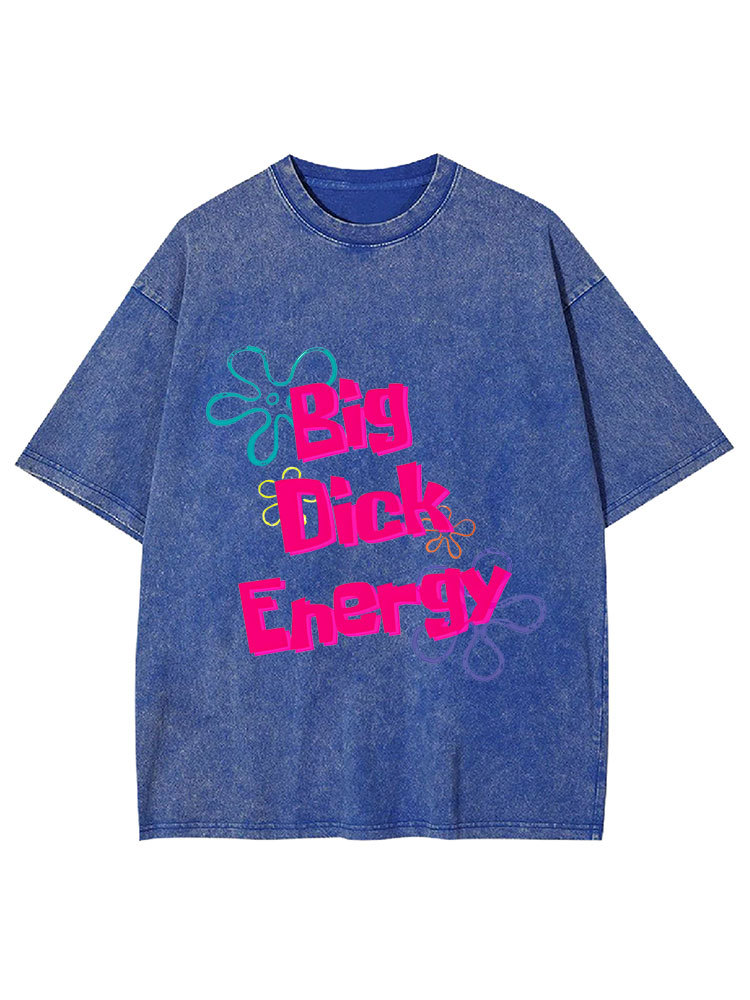 Big Di*k Energy Y2K Washed Tee