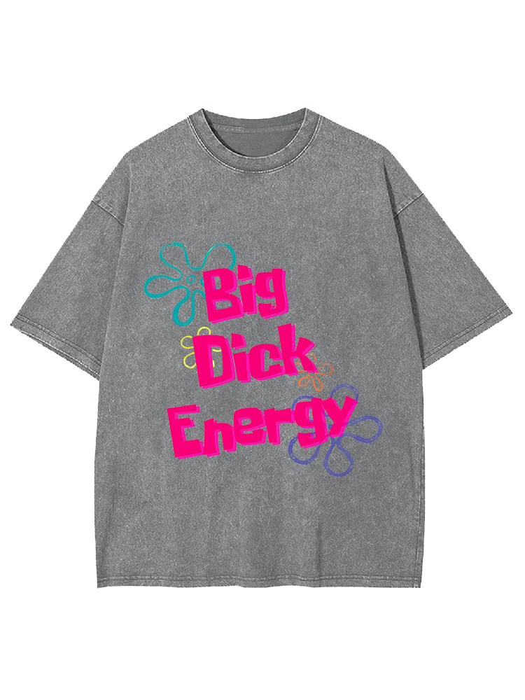 Big Di*k Energy Y2K Washed Tee