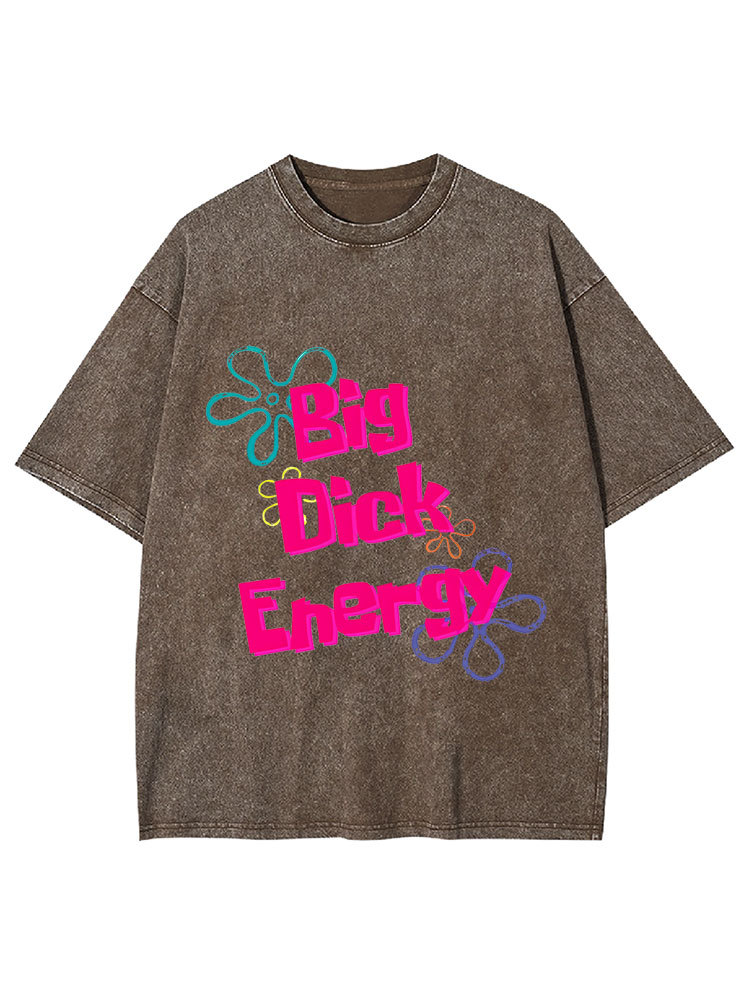 Big Di*k Energy Y2K Washed Tee