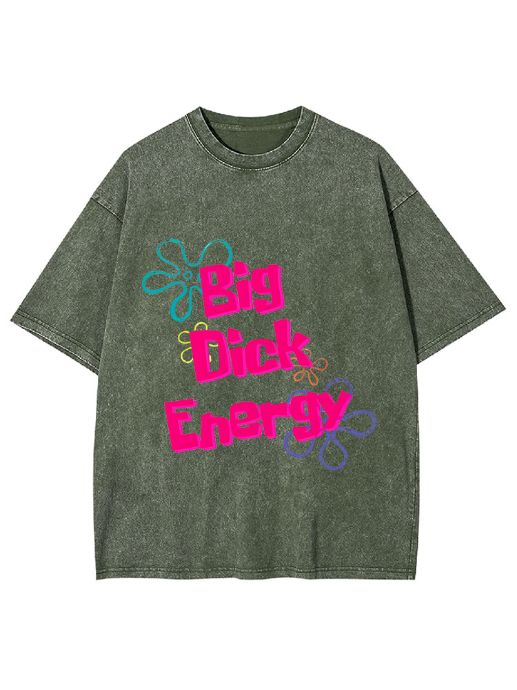 Big Di*k Energy Y2K Washed Tee