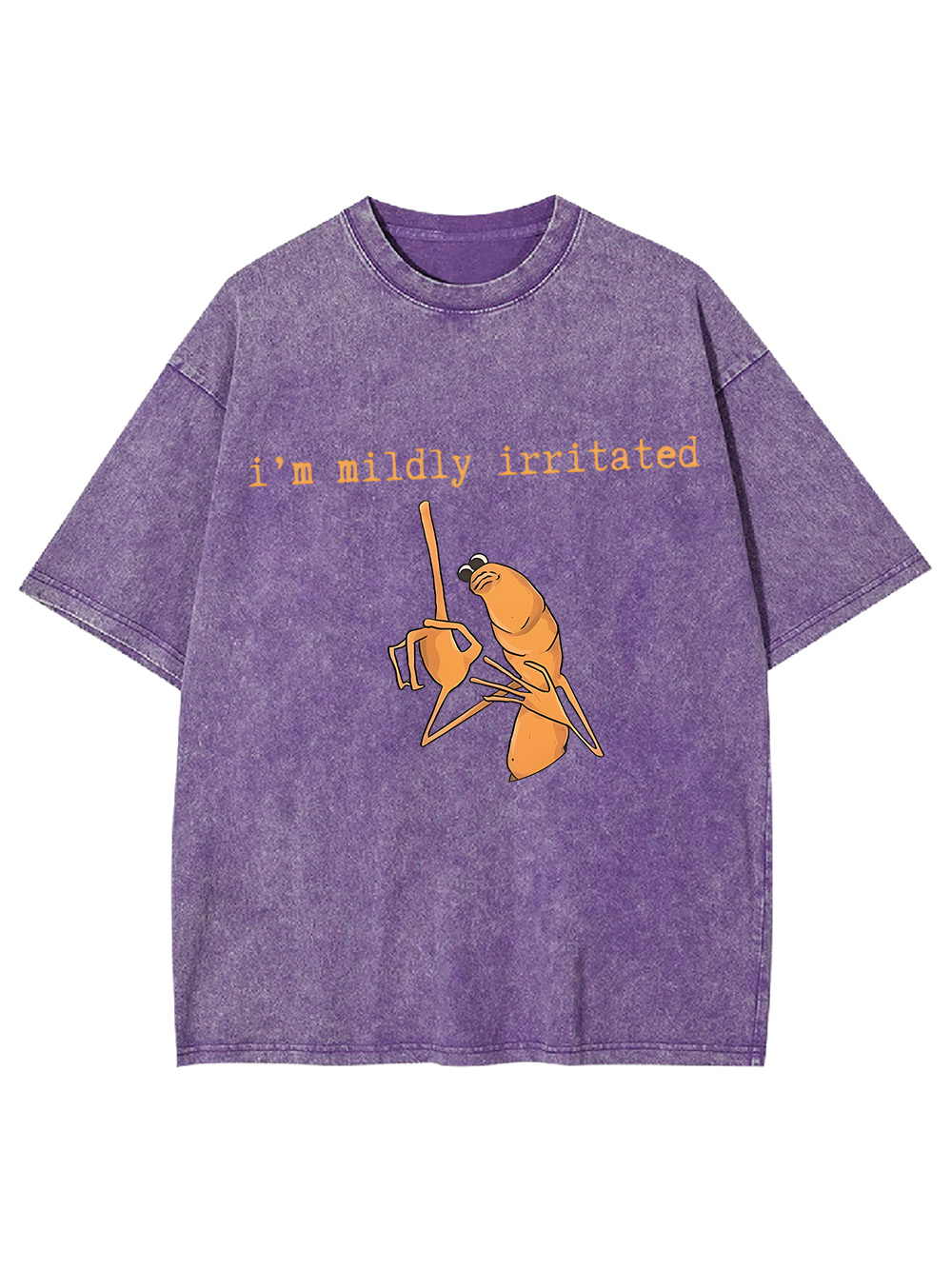 I'm Mildly Irritated Washed Tshirt