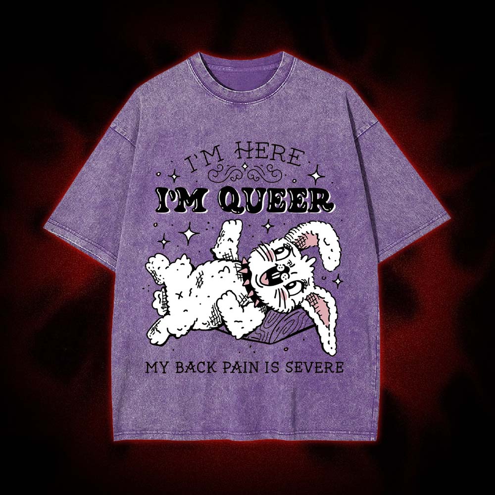 I'm Here, I'm Queer, My Back Pain Is Severe Washed Tshirt
