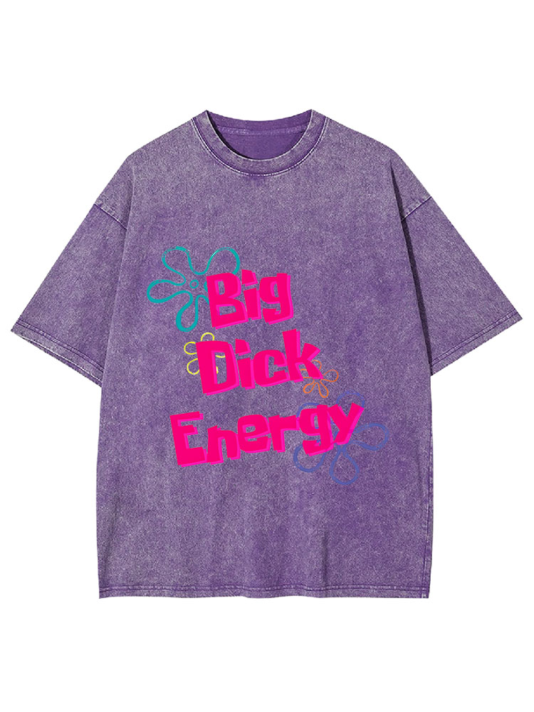 Big Di*k Energy Y2K Washed Tee