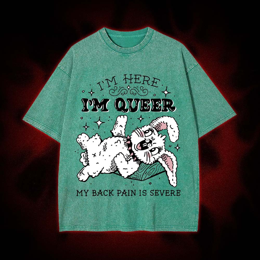 I'm Here, I'm Queer, My Back Pain Is Severe Washed Tshirt