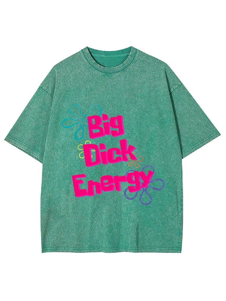 Big Di*k Energy Y2K Washed Tee
