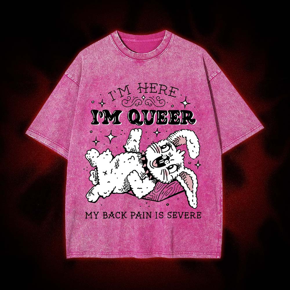 I'm Here, I'm Queer, My Back Pain Is Severe Washed Tshirt