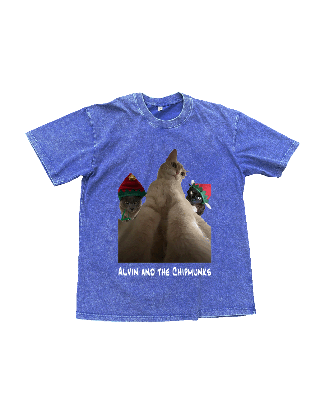 Nutty And The Gang Washed Tshirt