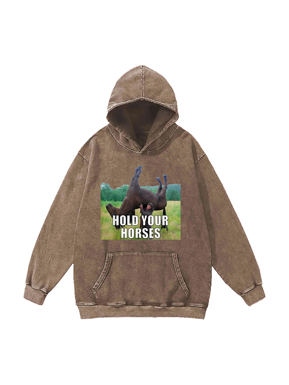 Hold Your Horses Washed Hoodie