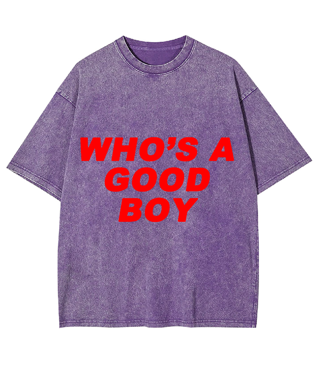Who's A Good Boy Y2K Washed Tee