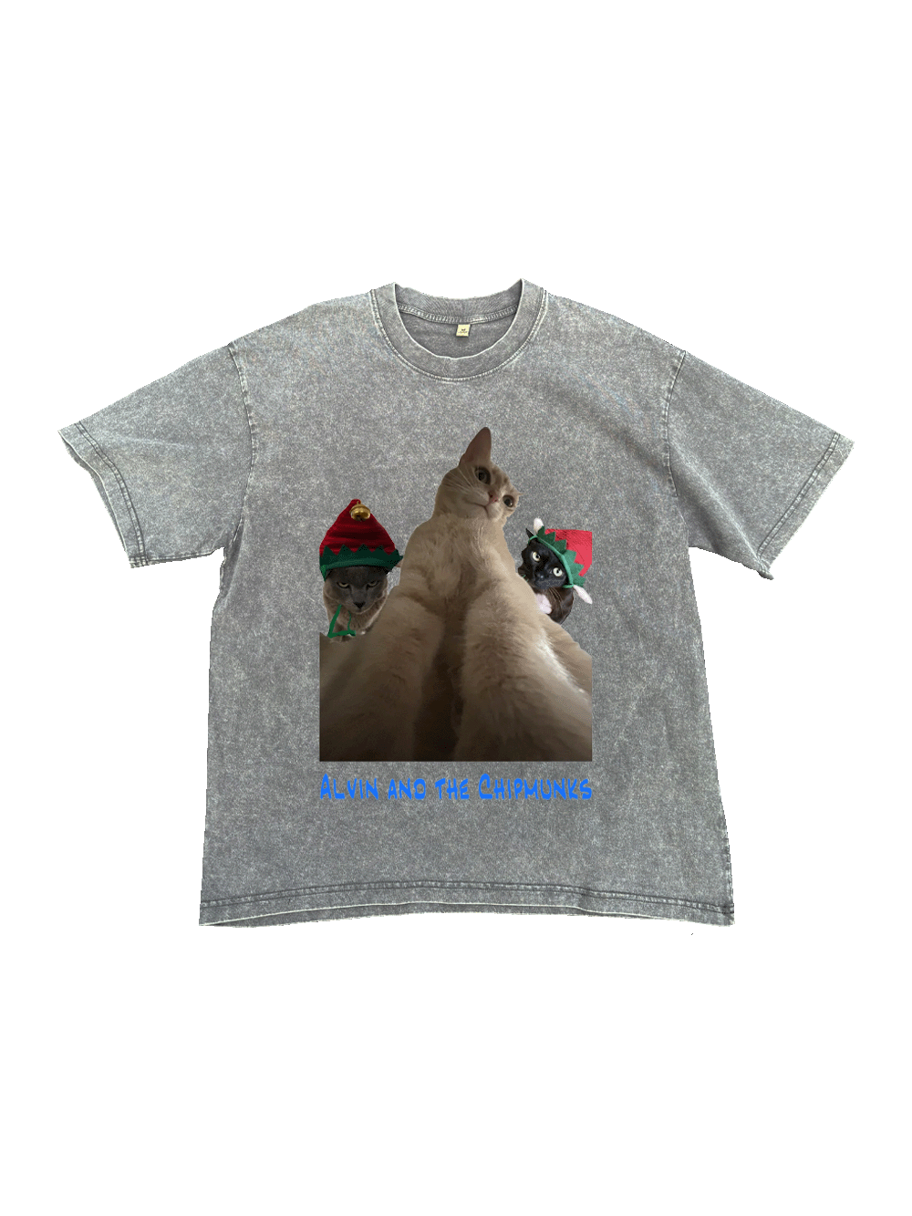 Nutty And The Gang Washed Tshirt