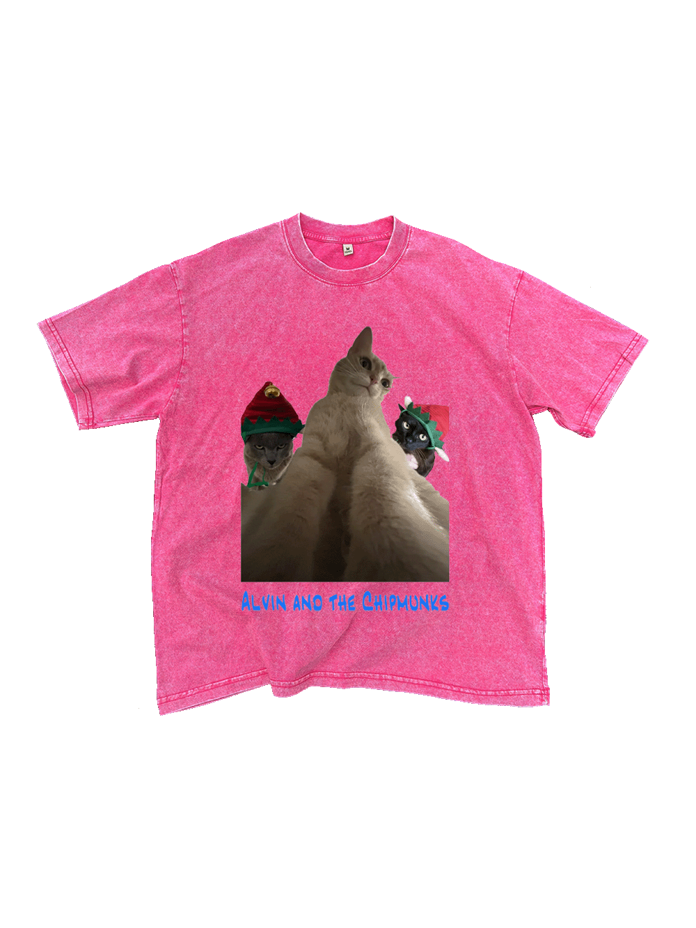 Nutty And The Gang Washed Tshirt