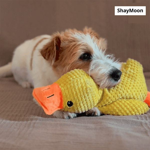 Dog Toy Sounding Little Yellow Duck Puppy Plush Doll Companion Duck Big Dog Self-Entertainment Grinding Teeth Chewing Pet Toy