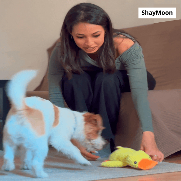 Dog Toy Sounding Little Yellow Duck Puppy Plush Doll Companion Duck Big Dog Self-Entertainment Grinding Teeth Chewing Pet Toy