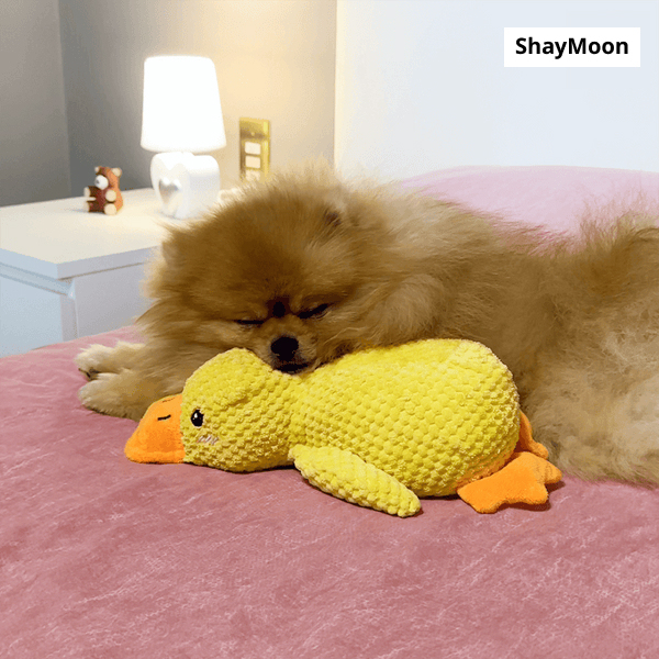 Dog Toy Sounding Little Yellow Duck Puppy Plush Doll Companion Duck Big Dog Self-Entertainment Grinding Teeth Chewing Pet Toy