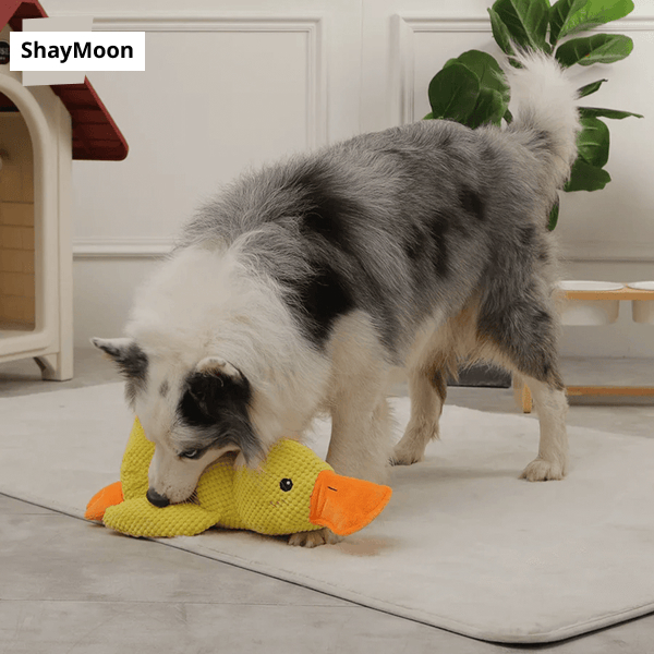Dog Toy Sounding Little Yellow Duck Puppy Plush Doll Companion Duck Big Dog Self-Entertainment Grinding Teeth Chewing Pet Toy