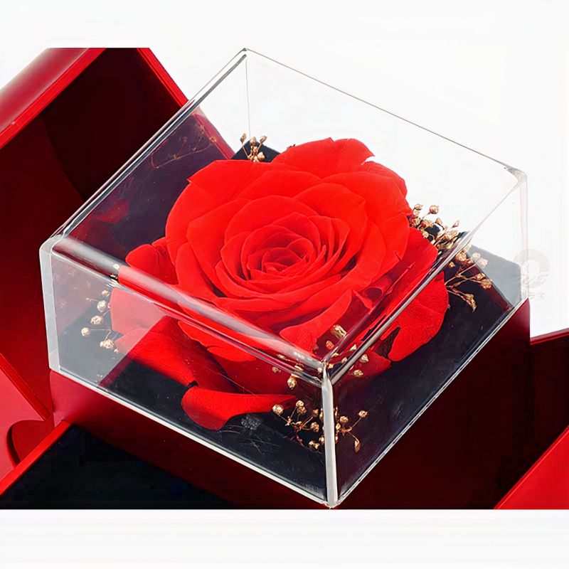 Weißgold-Halskette - Echte Rose - das beste Geschenk für Freundin, Geliebte, Mutter