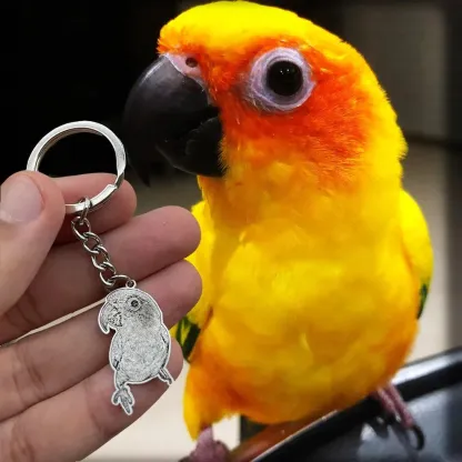 Colar/chaveiro com foto de animal de estimação personalizado