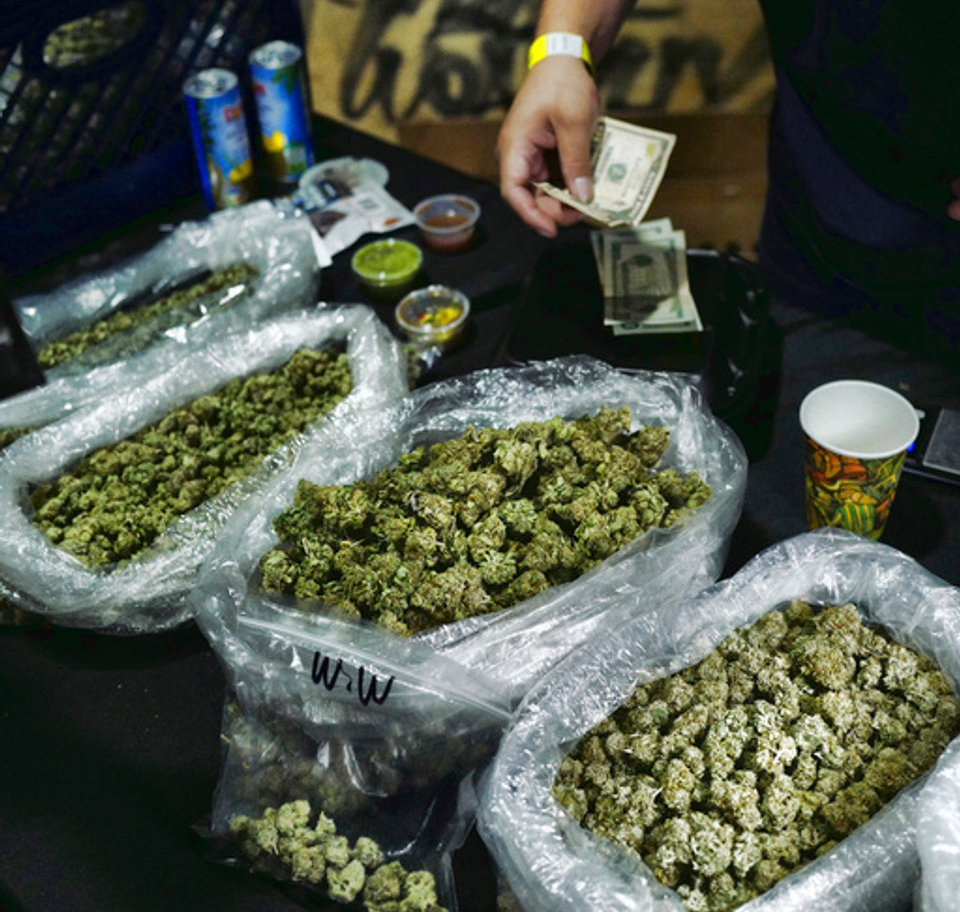 [Locally grown in Brandenburg] It has a refreshing taste, eliminates fatigue, refreshes the mind and brings endless happiness.