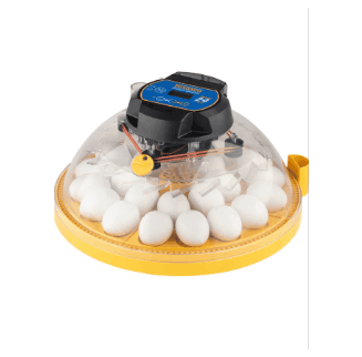 Mini incubatrice per uova