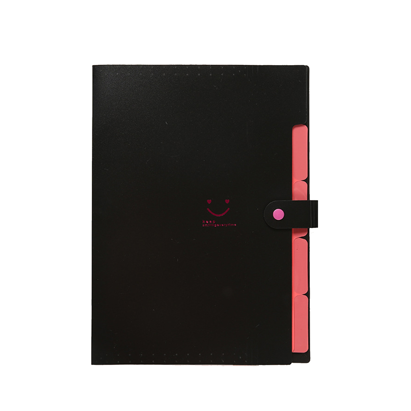 Expandable File Folder 12.8 " x 9.4 "
