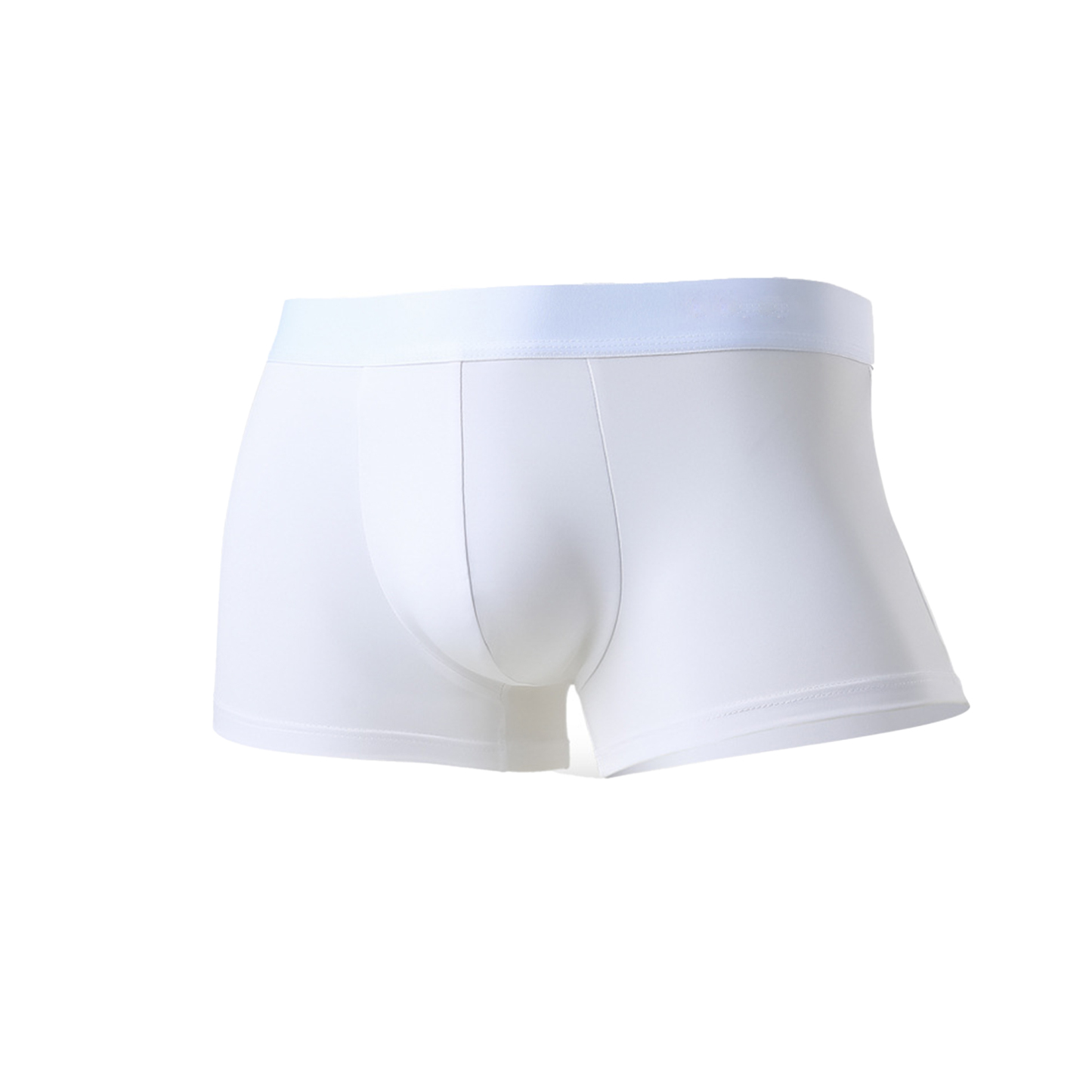 Men's Ice Silk Briefs