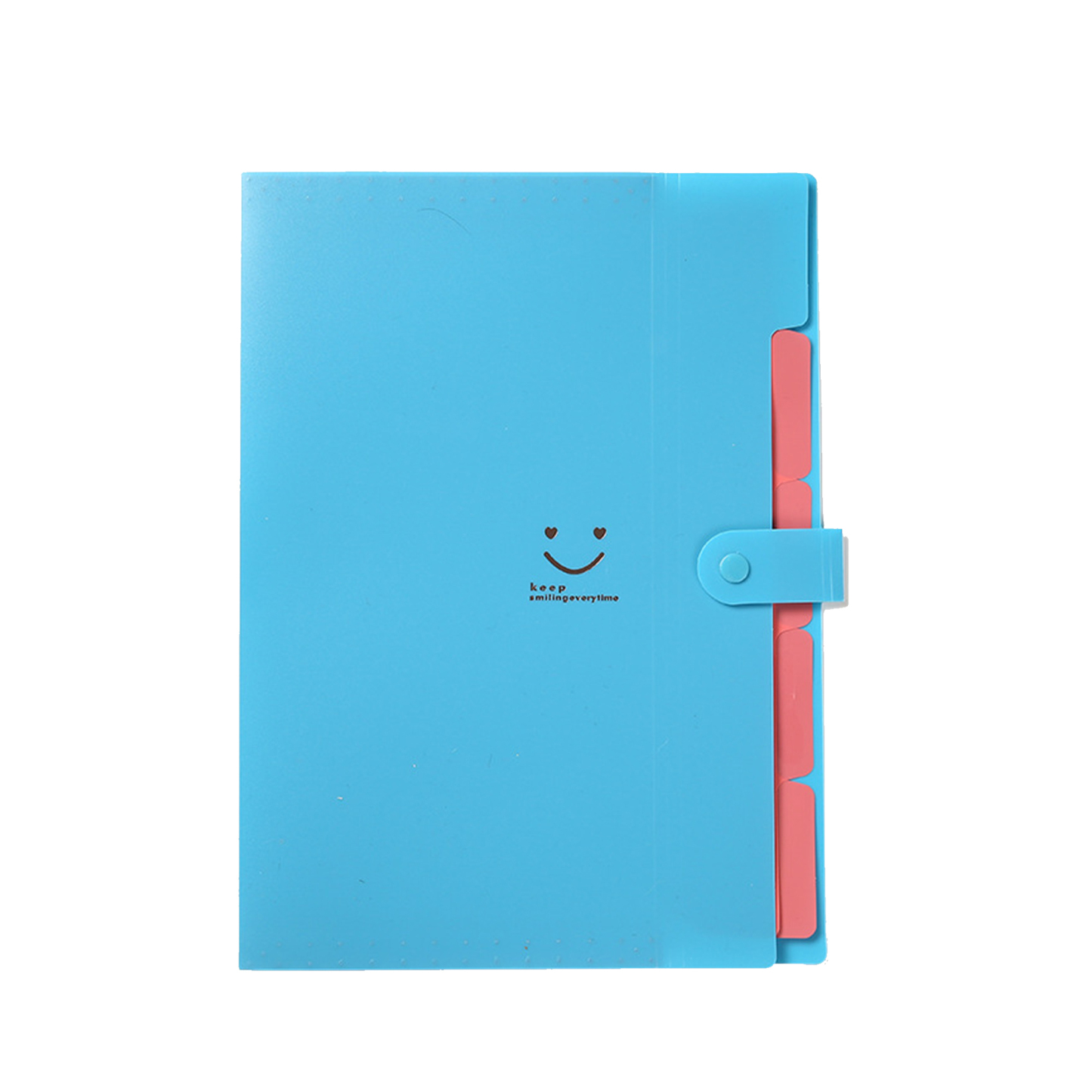 Expandable File Folder 12.8 " x 9.4 "