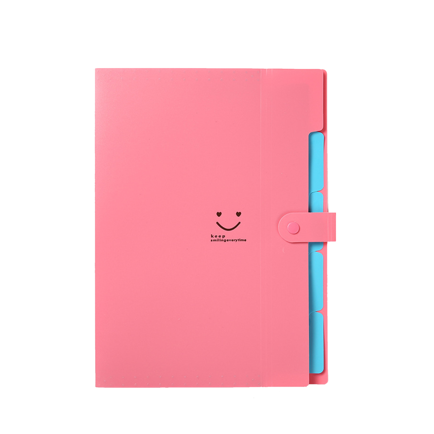 Expandable File Folder 12.8 " x 9.4 "