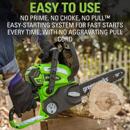 GreenWorks 20262 G-MAX 40V 12-Inch Cordless Chainsaw, 2AH Battery and a Charger Included