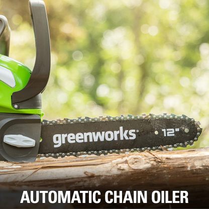 GreenWorks 20262 G-MAX 40V 12-Inch Cordless Chainsaw, 2AH Battery and a Charger Included