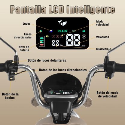 HONEYWHALE U3 PRO Bicicleta Electrica para Adultos, Moto Electrica con Alarma, Potencia Motor 650W-Max, Velocidad 31KM/H-Max, Autonomia 60KM, Bateria 20AH de Gran Capacidad