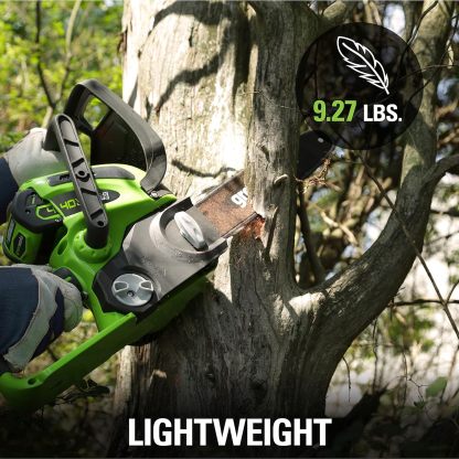 GreenWorks 20262 G-MAX 40V 12-Inch Cordless Chainsaw, 2AH Battery and a Charger Included