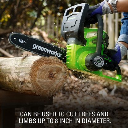 GreenWorks 20262 G-MAX 40V 12-Inch Cordless Chainsaw, 2AH Battery and a Charger Included