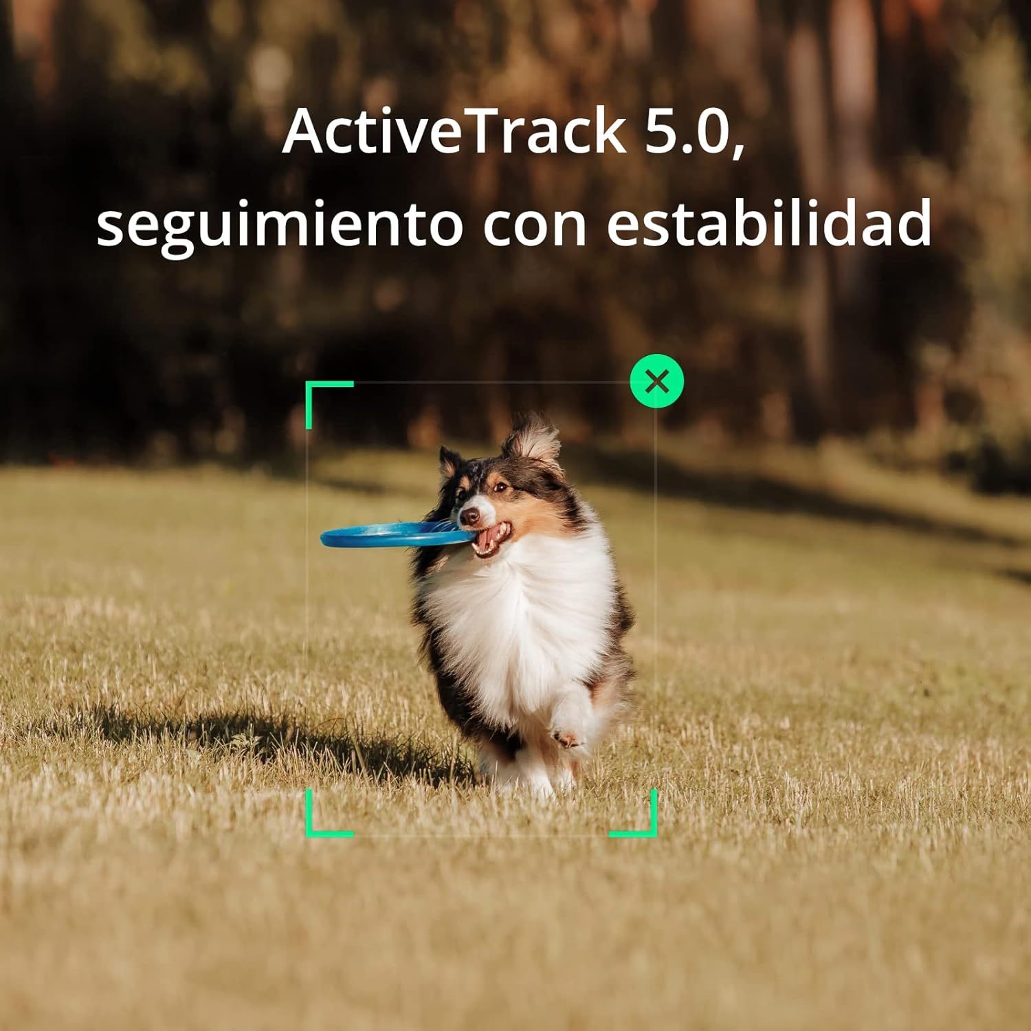 Dji Ronin-SC - Estabilizador de cámara, cardán de Mano de 3 Ejes para cámaras DSLR y sin Espejo, Carga útil de hasta 4.5 Libras, diseño Ligero, filmación cinemática, Color Negro